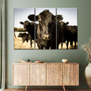 Black Angus Cattle Wall Art Black Angus Cattle Wall Art