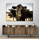 Black Angus Cattle Wall Art Black Angus Cattle Wall Art