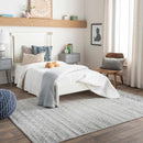 Constantin Gray Area Rug Constantin Gray Area Rug