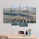 Tequila Jalisco Agave Field Wall Art Tequila Jalisco Agave Field Wall Art
