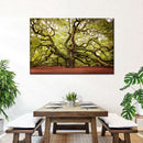 Charleston Angel Oak Tree Wall Art Charleston Angel Oak Tree Wall Art