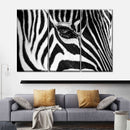 Zebra Eye Wall Art Zebra Eye Wall Art