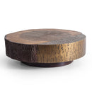 Baobab Coffee Table Baobab Coffee Table