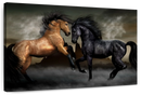 Clashing Wild Horses Wall Art Clashing Wild Horses Wall Art