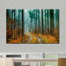 Autumn Forest Pathway Wall Art Autumn Forest Pathway Wall Art