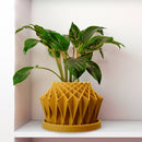 Galaxy Groove Plant Pot Galaxy Groove Plant Pot