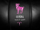 Aries Pink Logo Panel Aries Pink Logo Panel