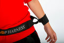Hoop Harness Hoop Harness