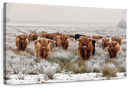 Winter Highland Cows Wall Art Winter Highland Cows Wall Art