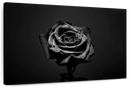 Black Rose Wall Art Black Rose Wall Art