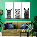 Trio Alpaca Wall Art Trio Alpaca Wall Art