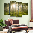 Birch Forest Sunlight Wall Art Birch Forest Sunlight Wall Art