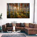 Swedish Birch Forest Wall Art Swedish Birch Forest Wall Art
