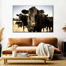 Black Angus Cattle Wall Art Black Angus Cattle Wall Art