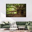 Banyan Tree Wall Art Banyan Tree Wall Art