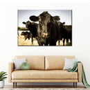 Black Angus Cattle Wall Art Black Angus Cattle Wall Art