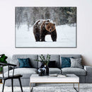 Winter Grizzly Bear Wall Art Winter Grizzly Bear Wall Art