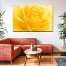 Yellow Rose Petals Wall Art Yellow Rose Petals Wall Art