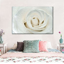 White Rose Close Up Wall Art White Rose Close Up Wall Art