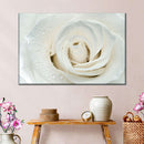 White Rose Close Up Wall Art White Rose Close Up Wall Art