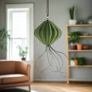 MAGNETIC Air Planter, JellyFish, Air Plant Included MAGNETIC Air Planter, JellyFish, Air Plant Included