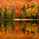 Canisbay Lake Wall Art Canisbay Lake Wall Art