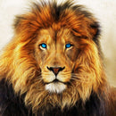 Blue Eyed Lion Wall Art Blue Eyed Lion Wall Art