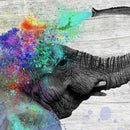 Colorful Elephant Splash Wall Art Colorful Elephant Splash Wall Art