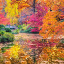 Colors Of Autumn Wall Art Colors Of Autumn Wall Art