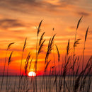 Chesapeake Bay Sunrise Wall Art Chesapeake Bay Sunrise Wall Art