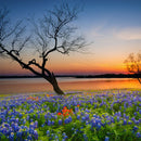 Texas Sunset Wall Art Texas Sunset Wall Art