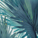 Bushy Palm Leaves Wall Art Bushy Palm Leaves Wall Art