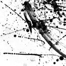 Abstract Black And White Wall Art Abstract Black And White Wall Art