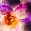 Abstract Floral Wall Art Abstract Floral Wall Art