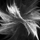 Abstract Gray Wall Art Abstract Gray Wall Art