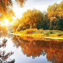 Autumn Season Wall Art Autumn Season Wall Art