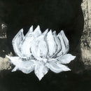 Black And White Floral Wall Art Black And White Floral Wall Art