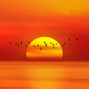 Calm Beach Sunrise Wall Art Calm Beach Sunrise Wall Art