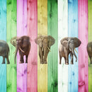 Color Stripe Elephants Color Stripe Elephants