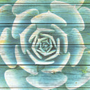 Succulent Plant Bloom Wall Art Succulent Plant Bloom Wall Art