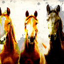 Three Horse Heads Wall Art Three Horse Heads Wall Art