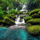 Tropical Waterfall Wall Art Tropical Waterfall Wall Art