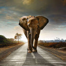 Walking Lone Elephant Wall Art Walking Lone Elephant Wall Art