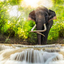 Waterfall Elephant Wall Art Waterfall Elephant Wall Art