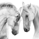 White Horse Couple Wall Art White Horse Couple Wall Art