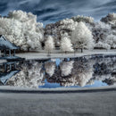 Winter Nightscape Wall Art Winter Nightscape Wall Art