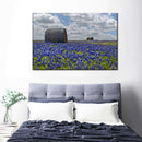 Texas Bluebonnets Wall Art Texas Bluebonnets Wall Art