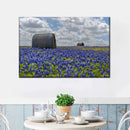 Texas Bluebonnets Wall Art Texas Bluebonnets Wall Art