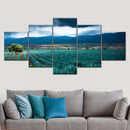 Agave Plantation At Morning Wall Art Agave Plantation At Morning Wall Art