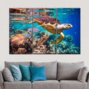 Vivid Sea Life Wall Art Vivid Sea Life Wall Art